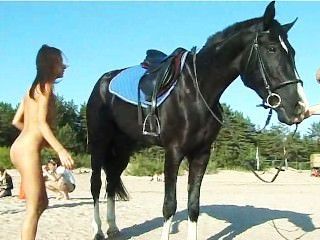Naked Teen Riding A Horse At The Beach Turns Heads