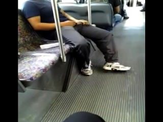 Horny In The Bus (to Catch A Fly?)