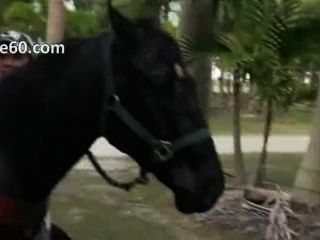 Horny Babes Givingblowjob Dick In Car